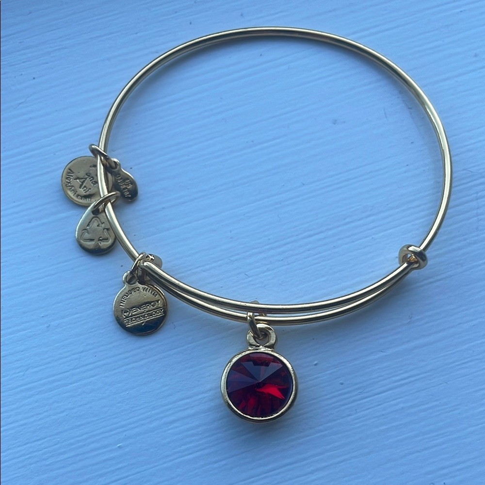 Alex and Ani Garnet Stone Bracelet